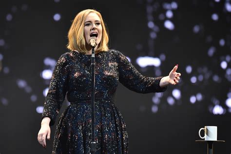 adele burberry dress|Pictures of Adele's Tour Costumes By Burberry .